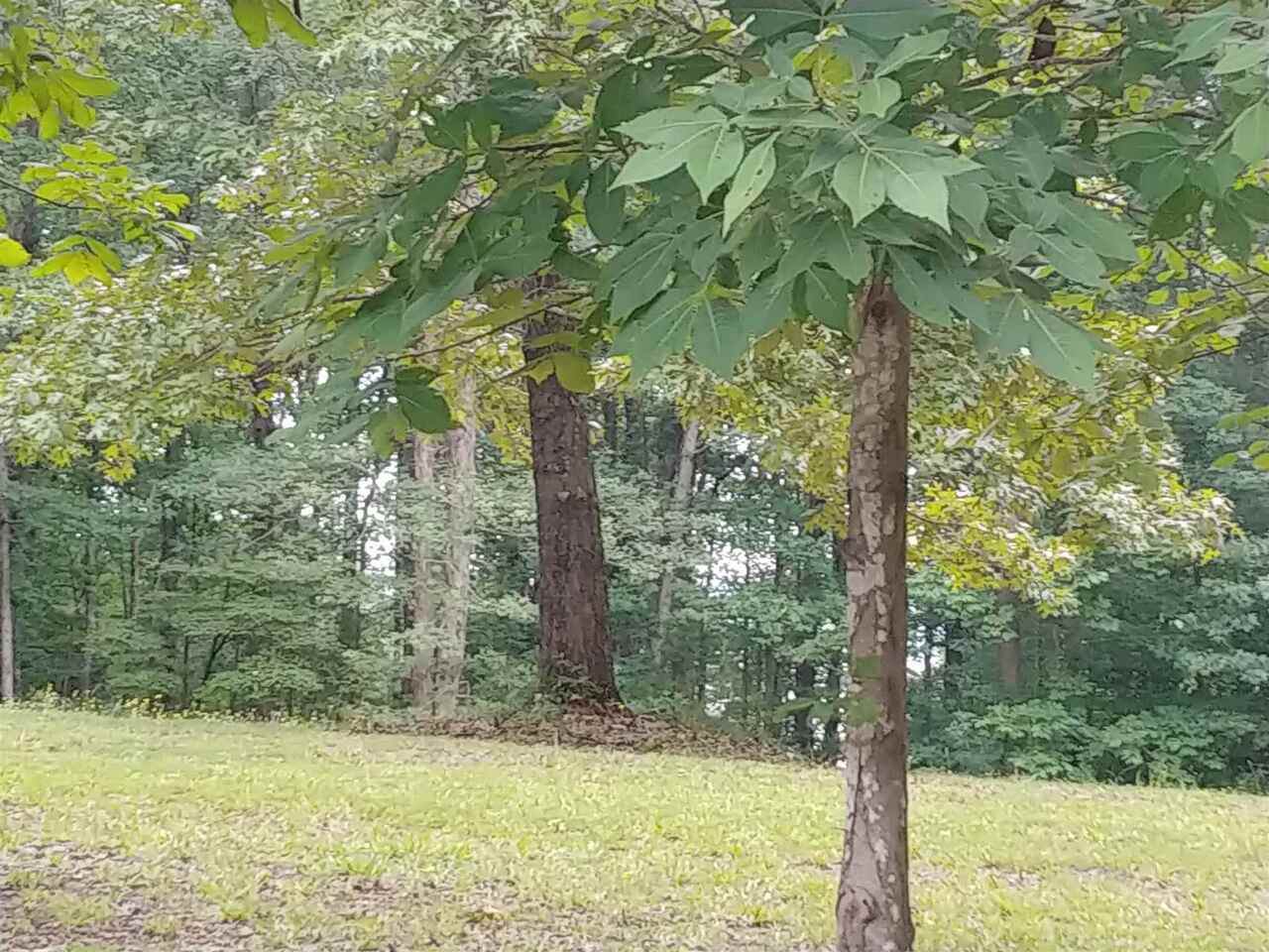 0 Russell Pointe Lane - Photo 1