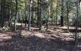 0 Fox Lake - Photo 1