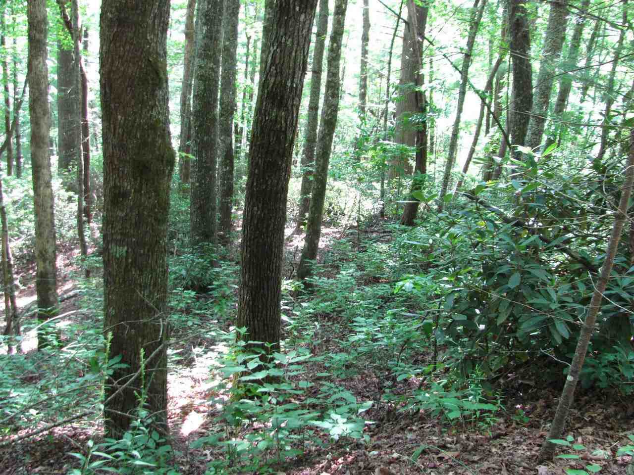 0 Evergreen Lane - Photo 1