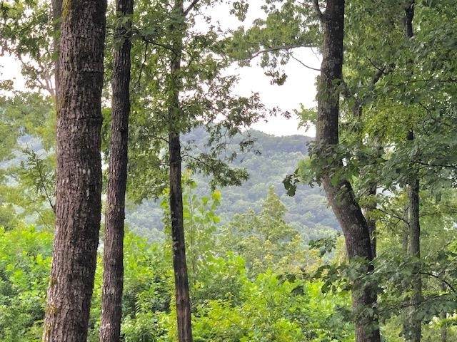 0 Highline Drive - Photo 1