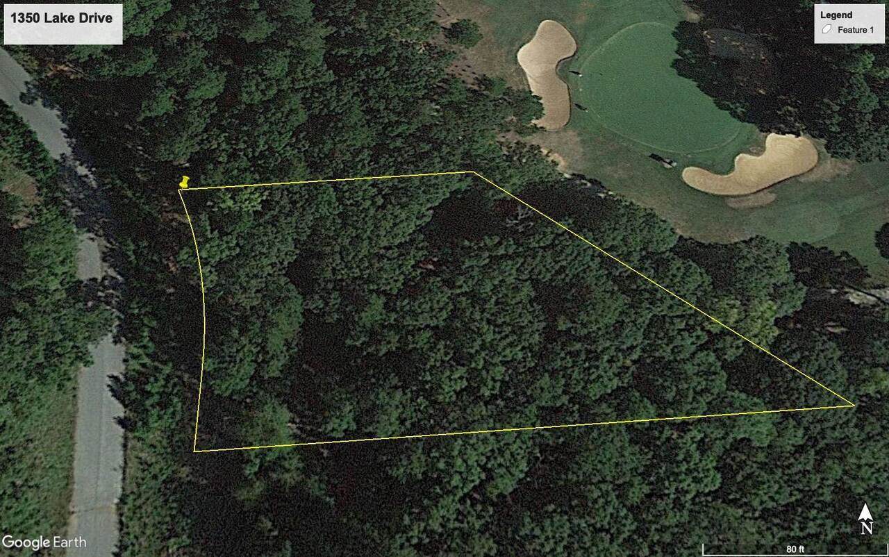1350 Lake Drive - Photo 1