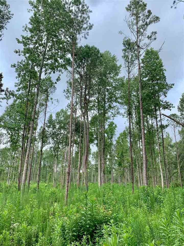 0 Drake Woods Road - Photo 1