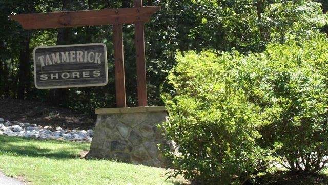 0 Tammerick Trail - Photo 1