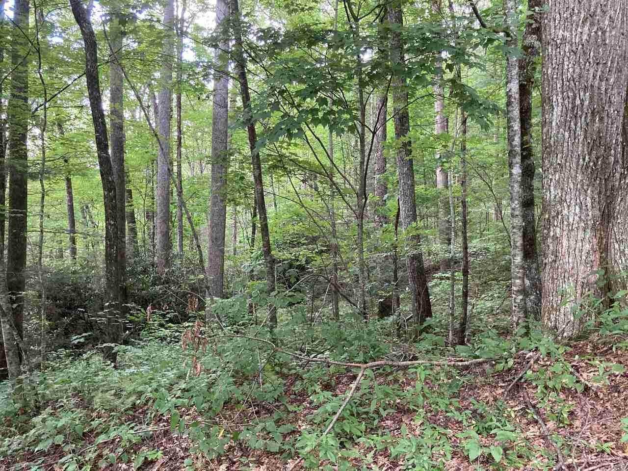 0 Walking Bear Lane - Photo 1