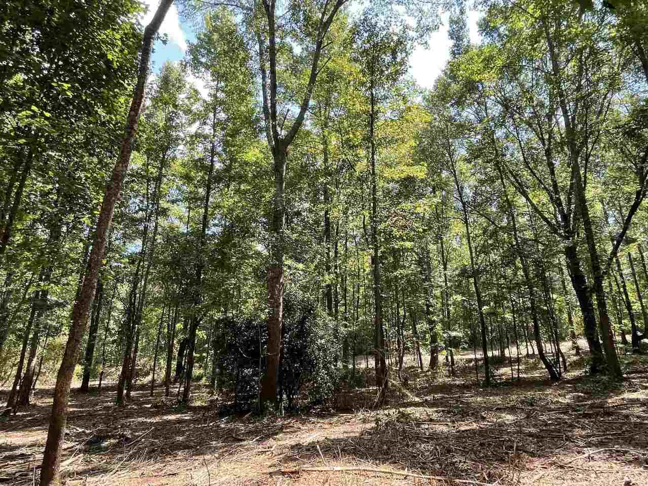 0 Center Point Road - Photo 1