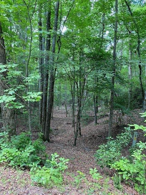 0 Grandview Acres - Photo 1