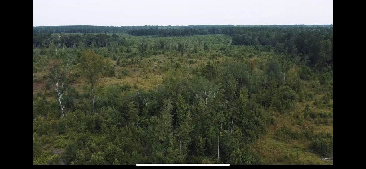 0 Williams Road - Photo 1