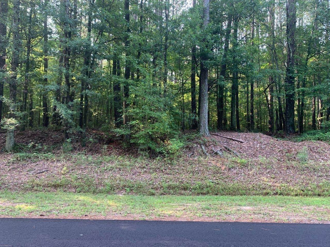 3572 Turkey Mountain Trail - Photo 1