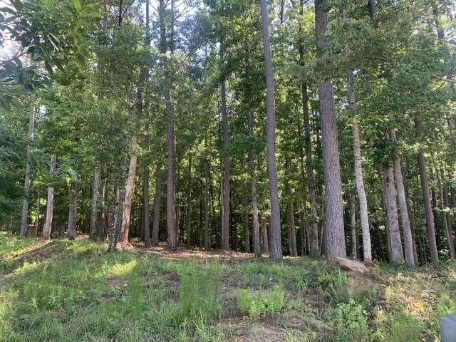 11345 Serenbe Lane - Photo 1