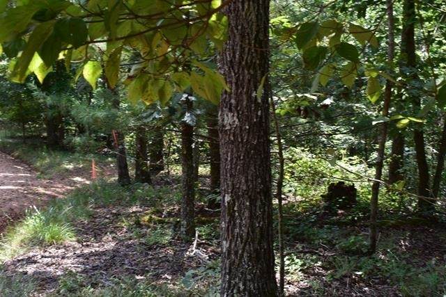 0 Fowler Creek Drive - Photo 1