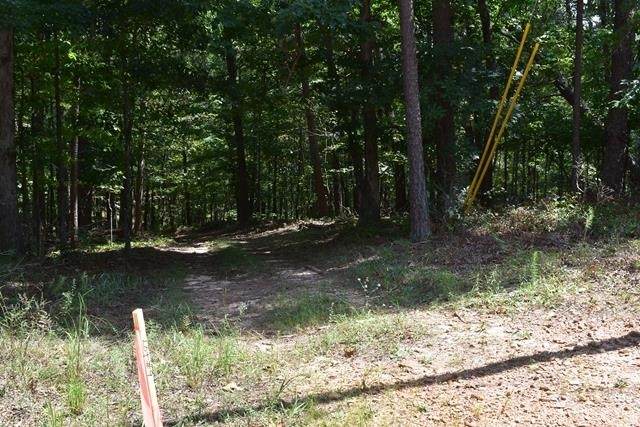 0 Fowler Creek Drive - Photo 1