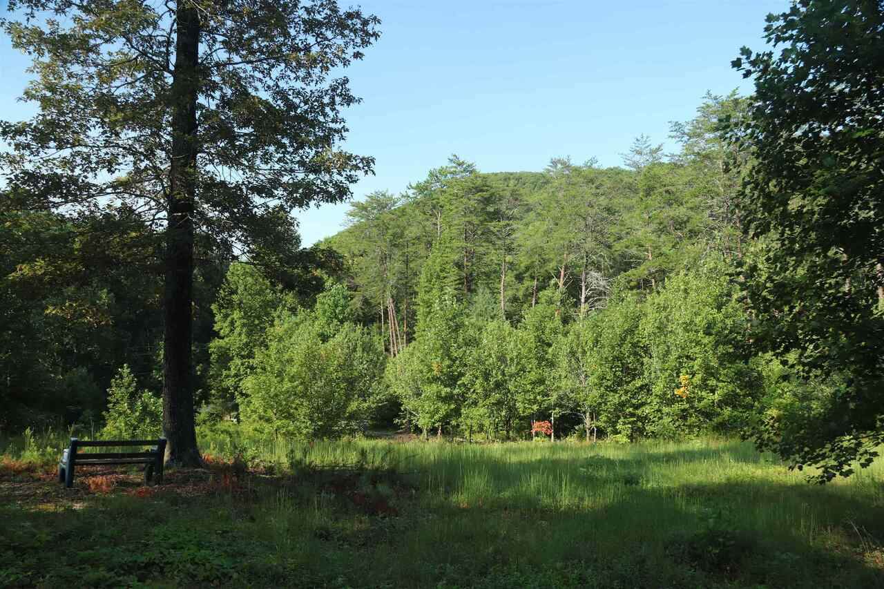 0 Ga Highway 255 - Photo 1