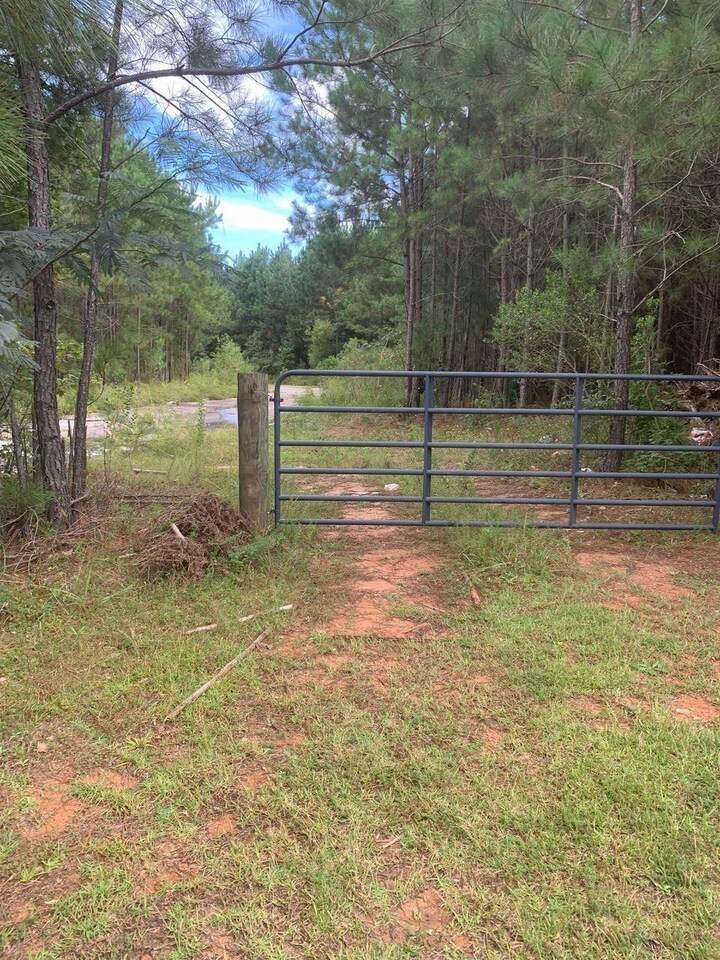 220 Butner Trail - Photo 1