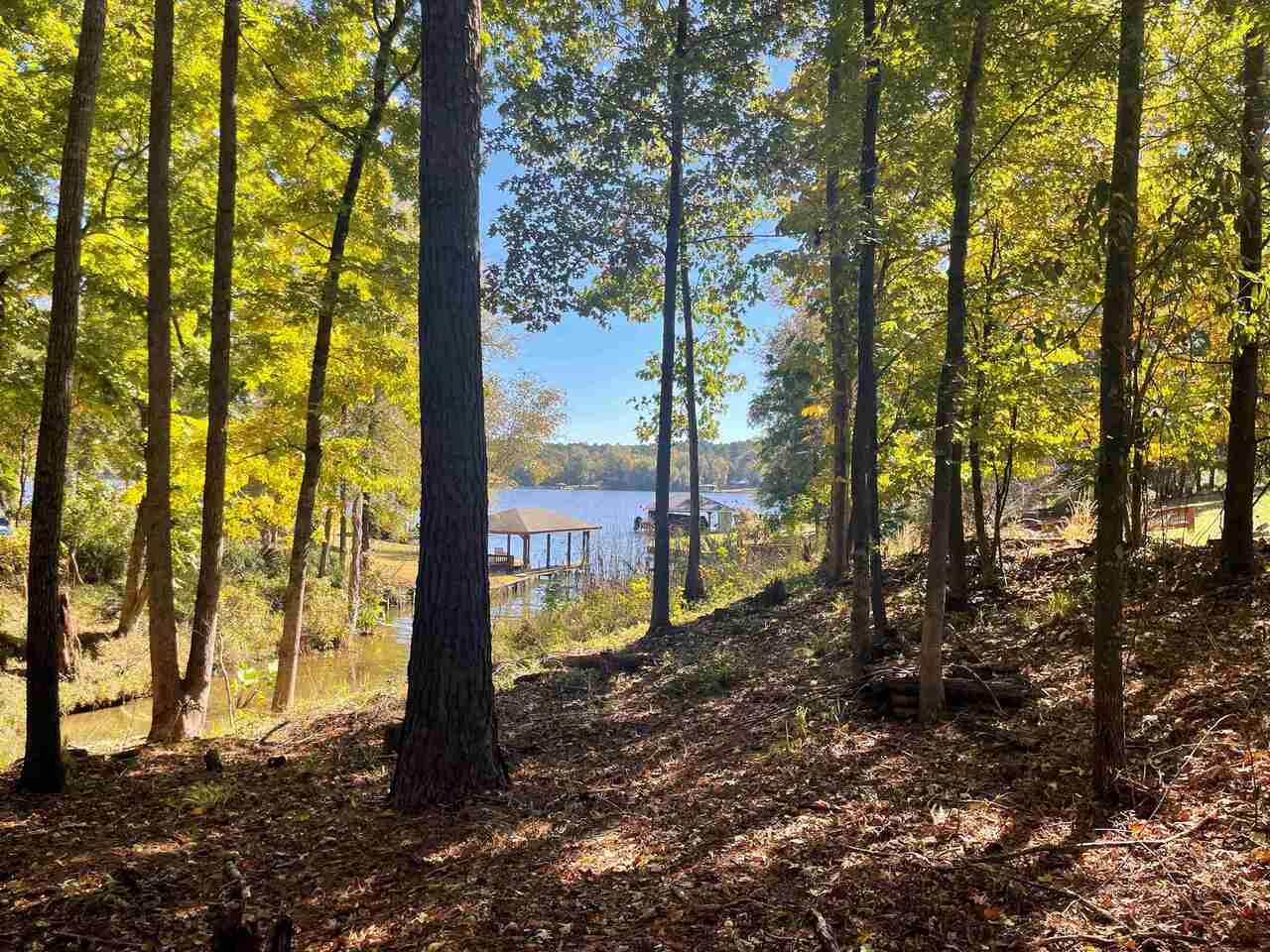 400 Rockville Springs Drive - Photo 1