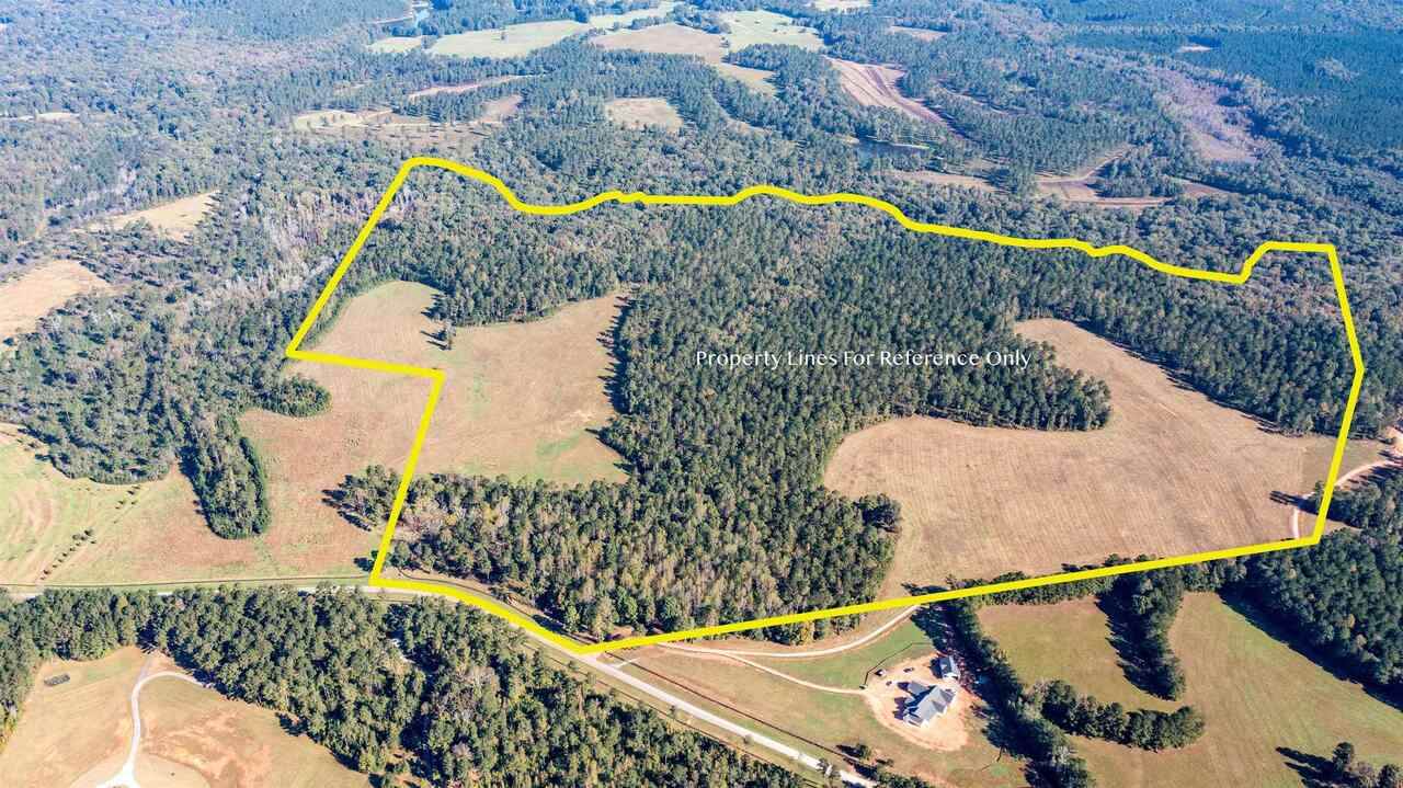 0 Bear Creek Road - Photo 1