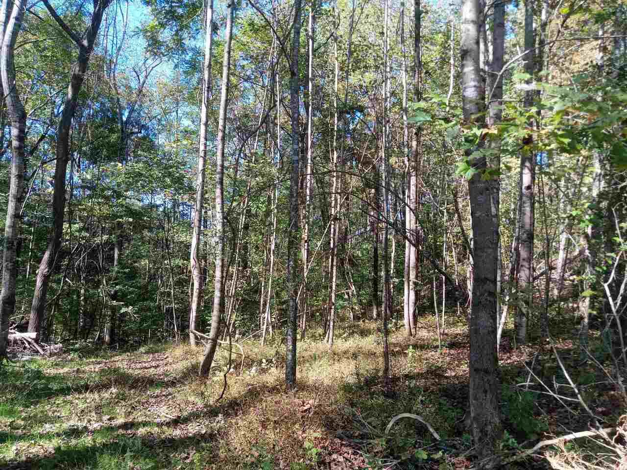 6677 Claude Parks Road - Photo 1
