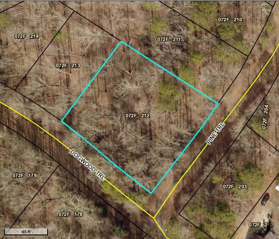 97 Dogwood Trail - Photo 1