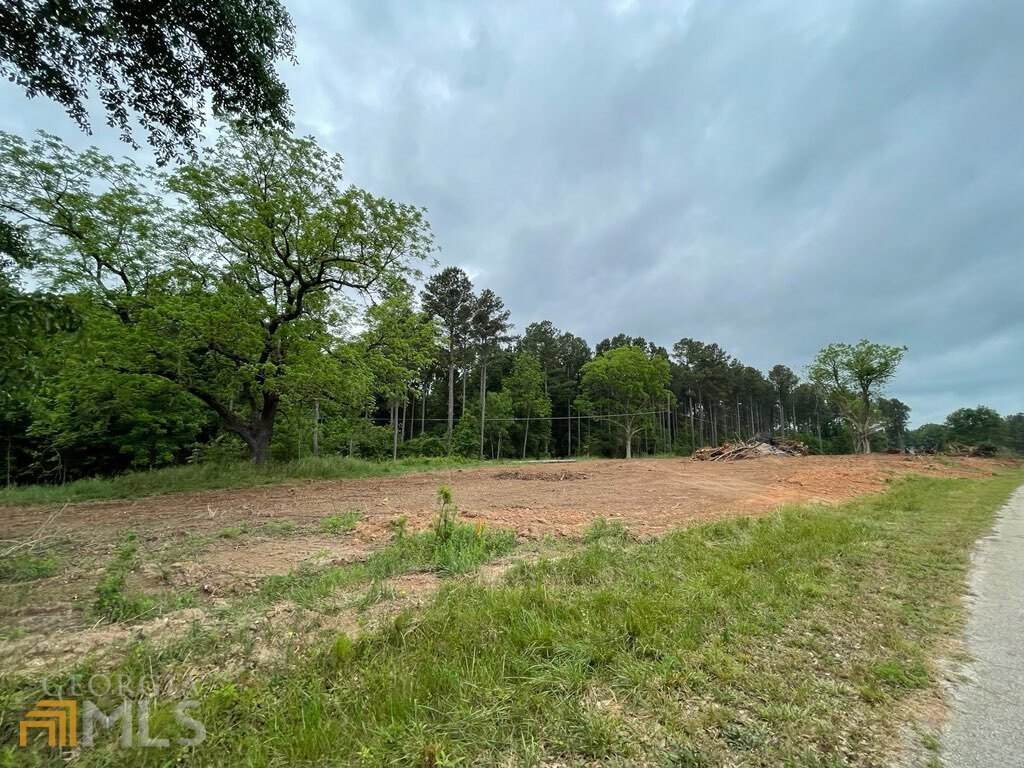 482 TRACT A Scott Mill Road - Photo 1