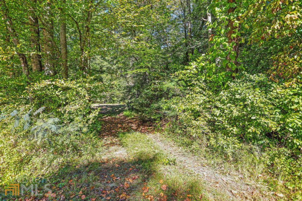 1.65 AC Foxfire Rd Road - Photo 1