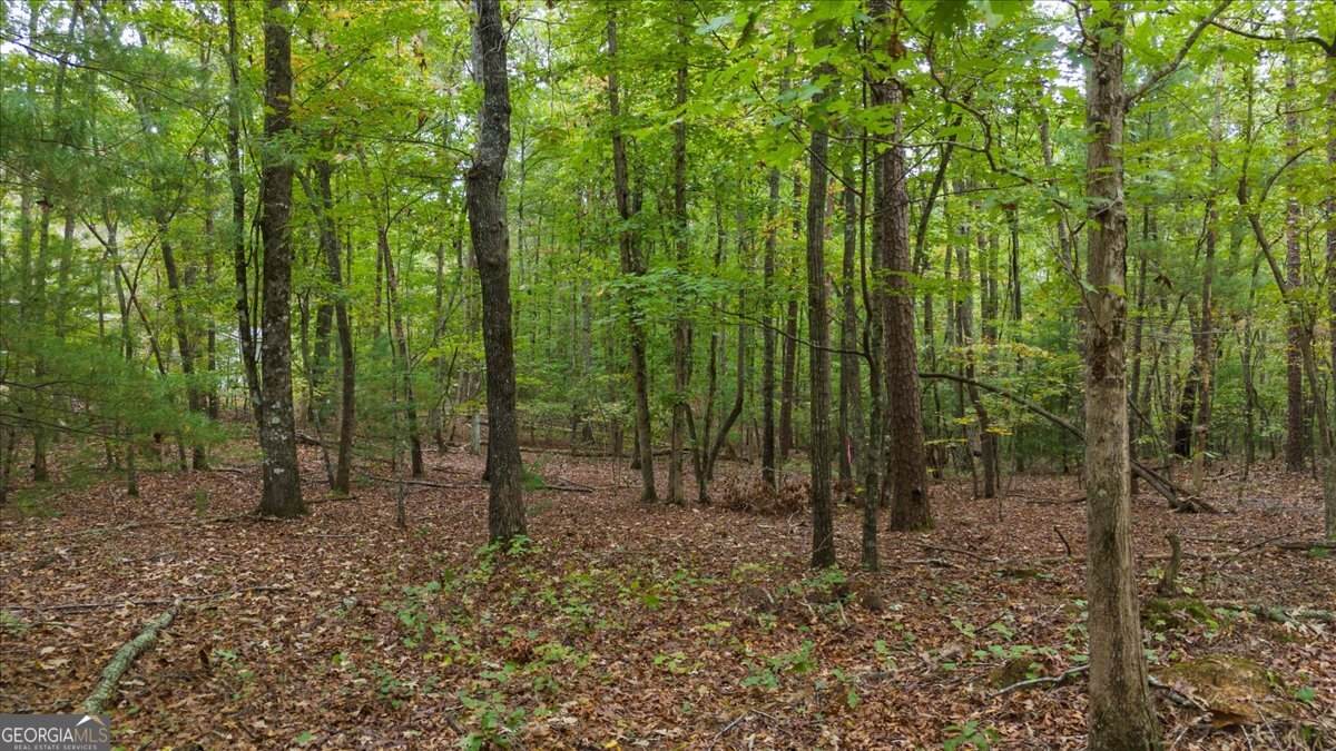 0 Rider Road - Photo 1