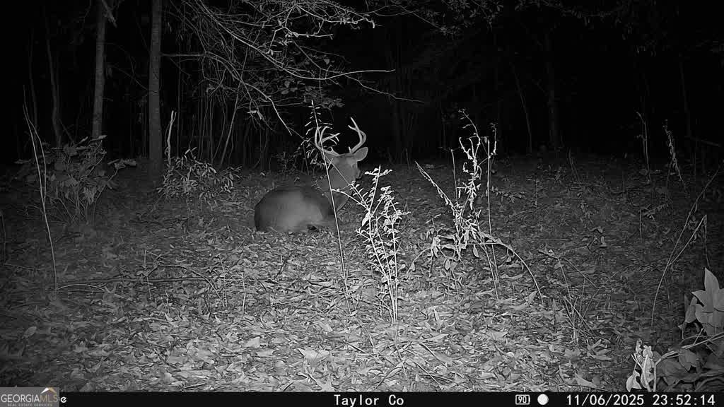 0 Americus Highway - Photo 1