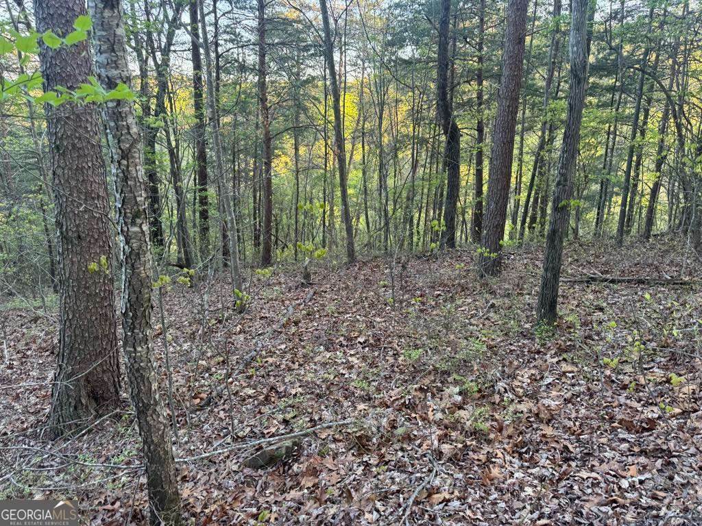 1057 Mayfield Lane - Photo 1