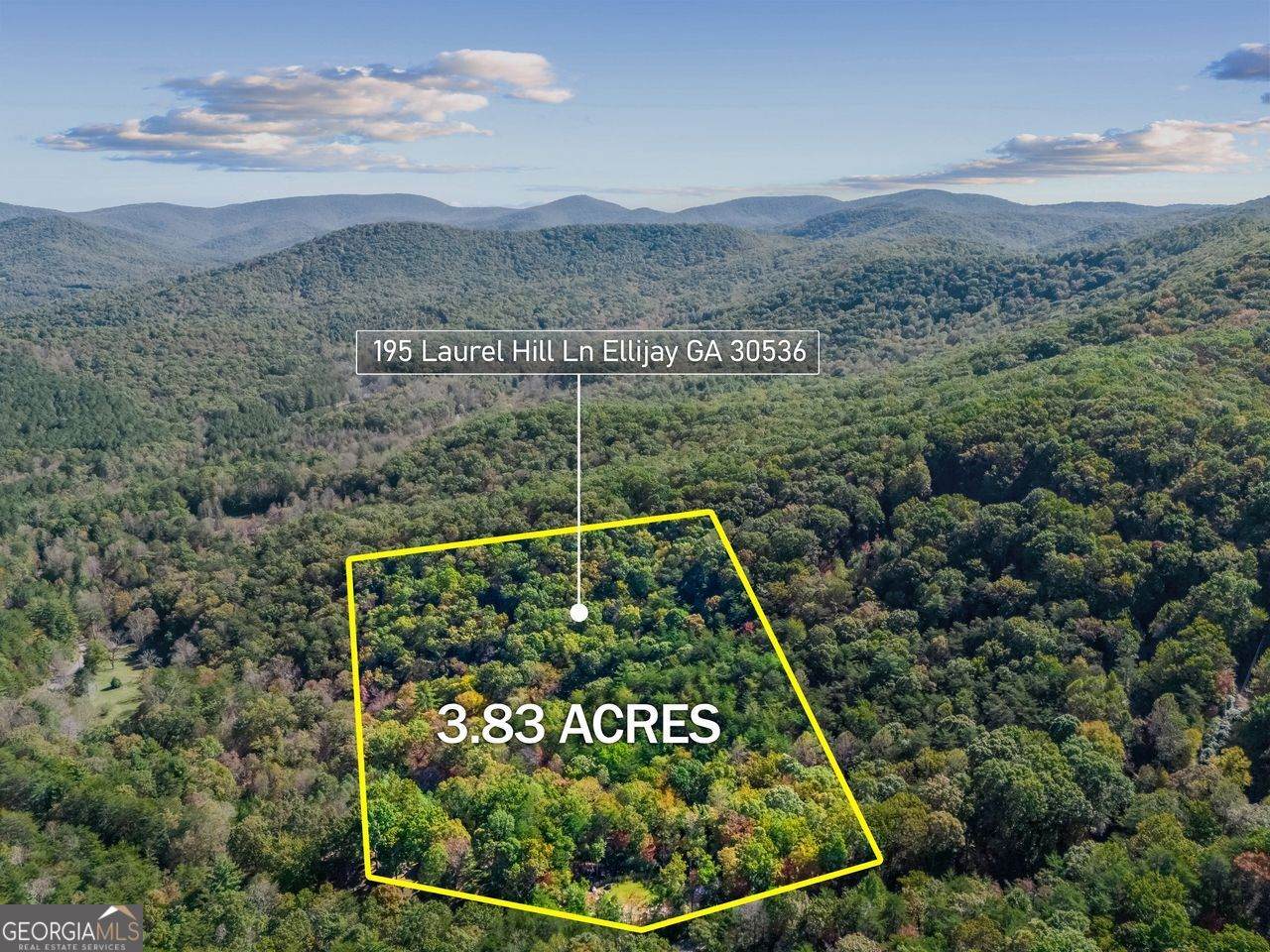 195 Laurel Hill Lane - Photo 1