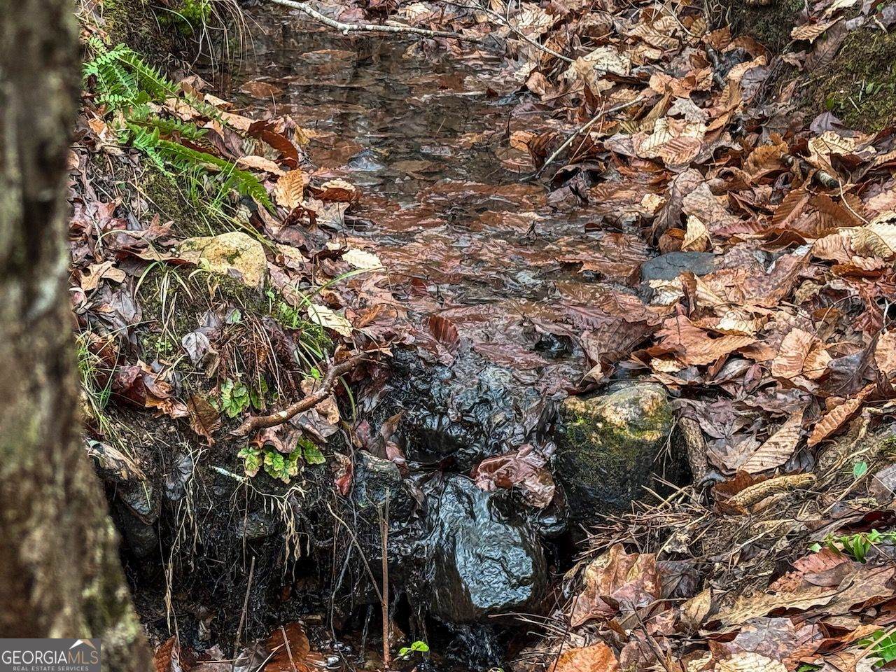 77 Observation Way - Photo 1