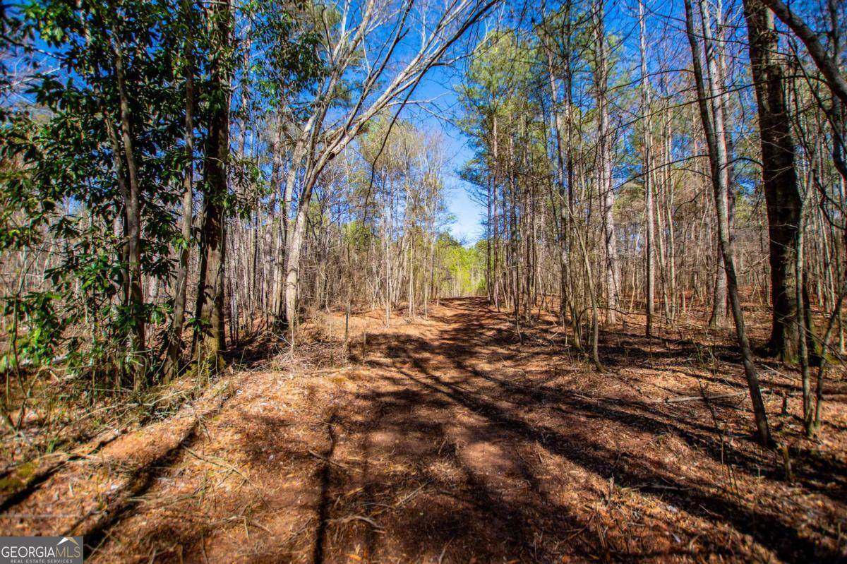 0 Hwy 166 - Photo 1