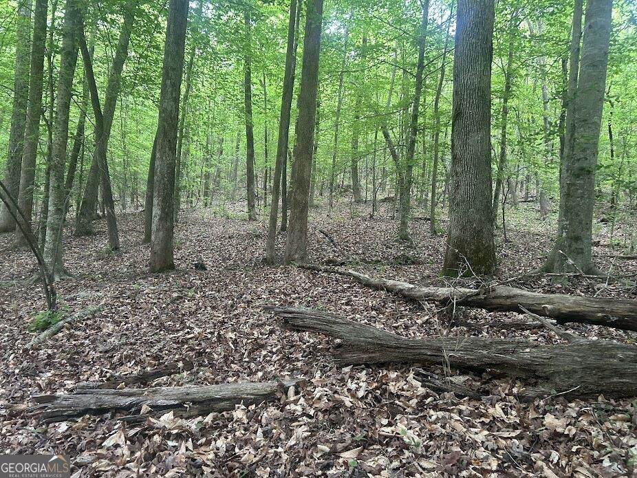 236 Riversong - Photo 1