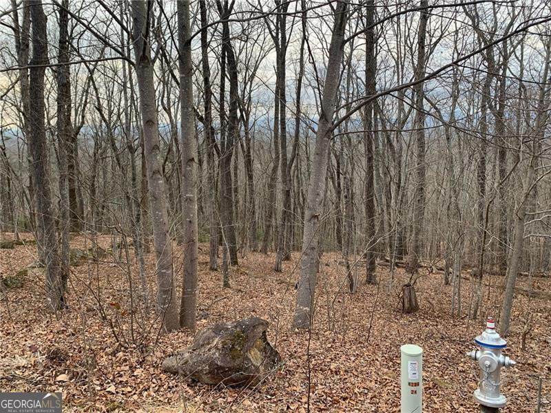 https://bt-photos.global.ssl.fastly.net/gamls/orig_boomver_3_10703415-2.jpg