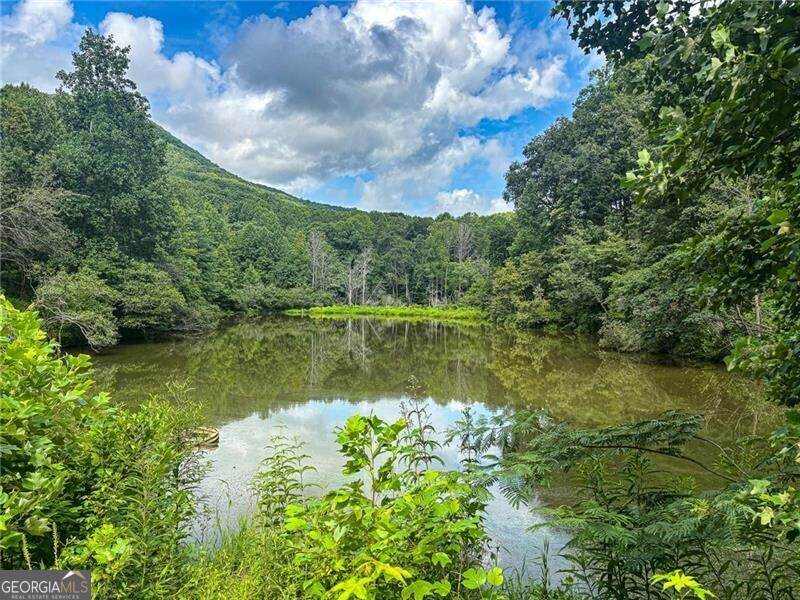 1565 Shoal Creek Road - Photo 1