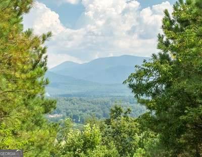 LOT 29 Sunset View - Photo 1