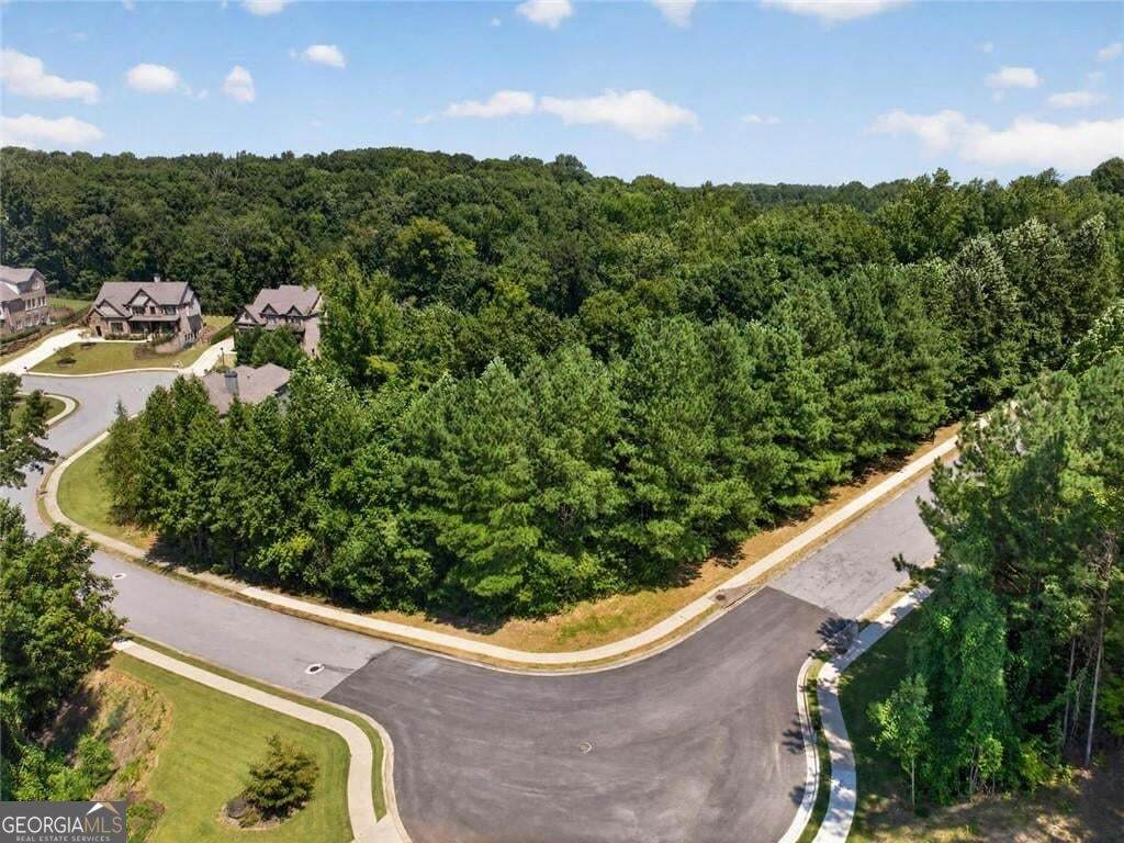 1179 Woodtrace Lane - Photo 1