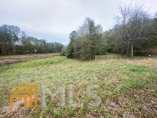 3013 Hwy 17 A - Photo 1
