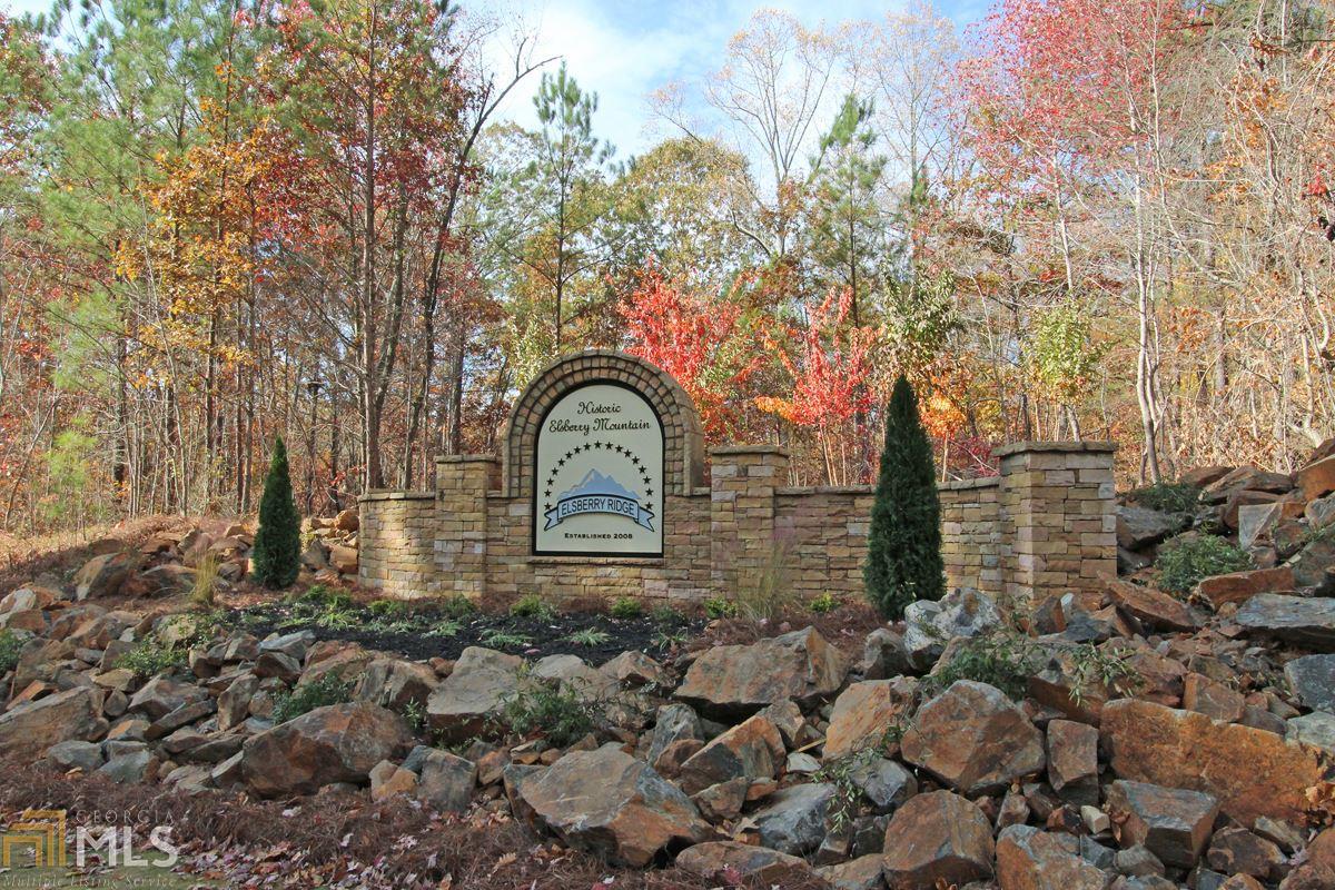 0 Elsberry Ridge Dr - Photo 1