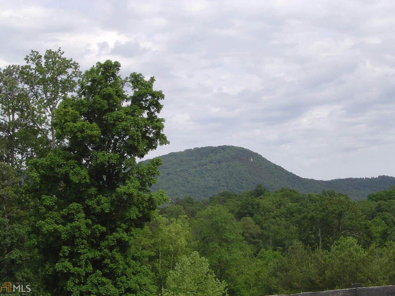 0 Booger Branch Spur - Photo 1