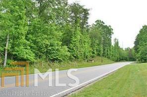0 Auraria Rd - Photo 1