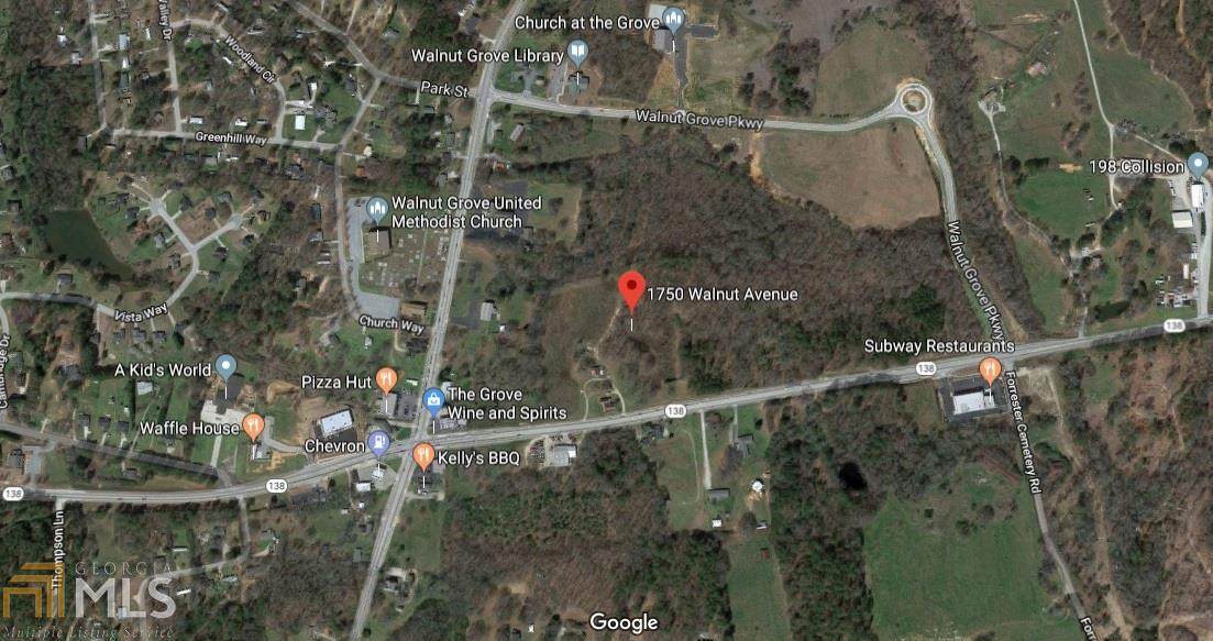 1750 Ga 138 Highway - Photo 1