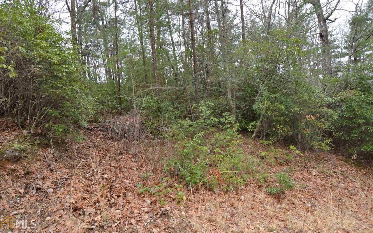 0 Cook Mountain - Photo 1