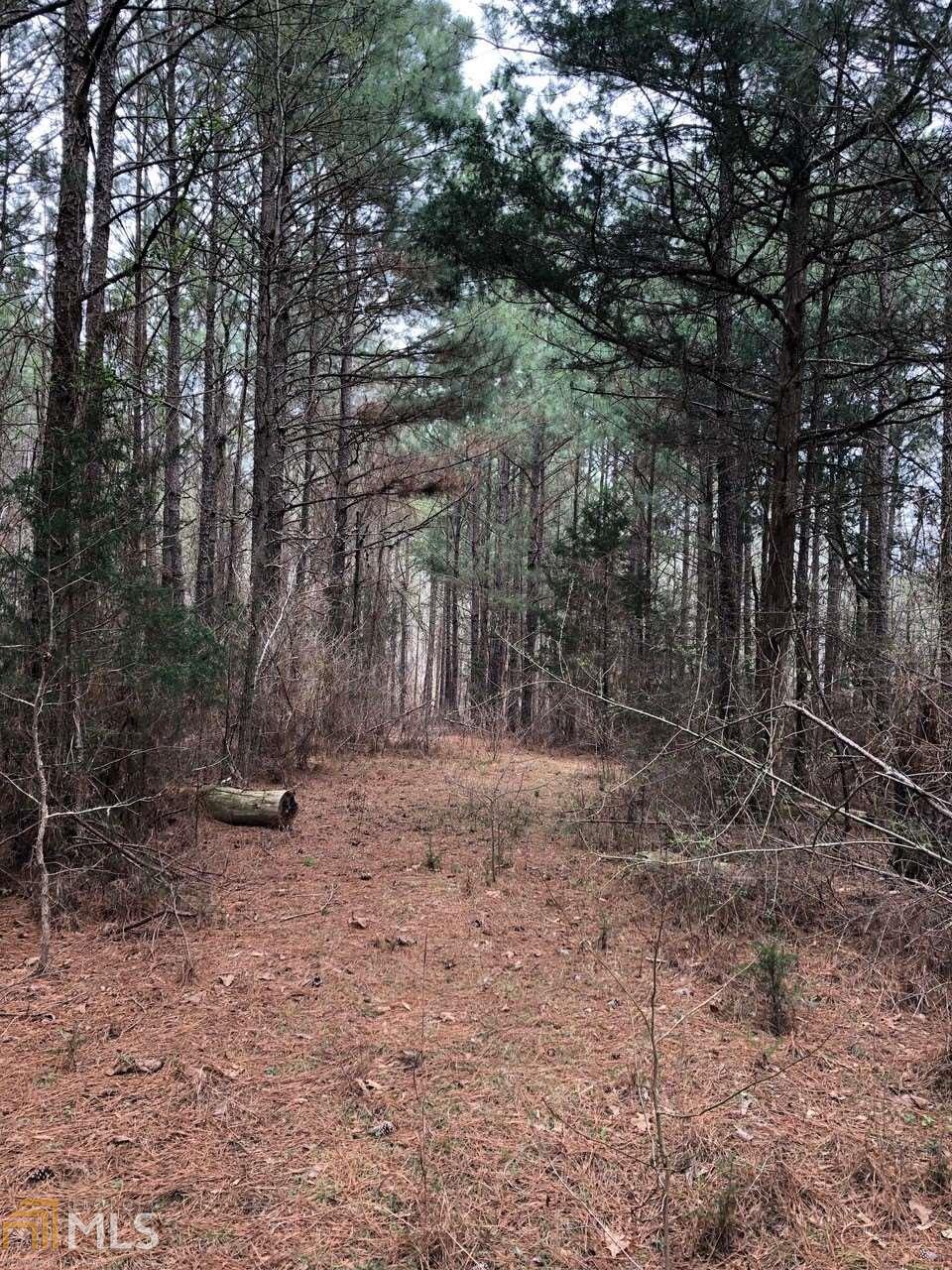 0 Old Mill Rd - Photo 1