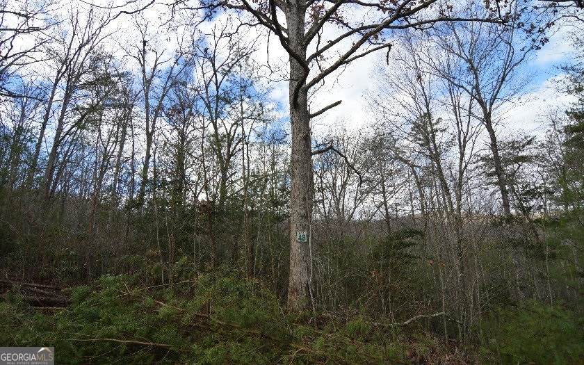 LOT 48 Laurel Brooke - Photo 1