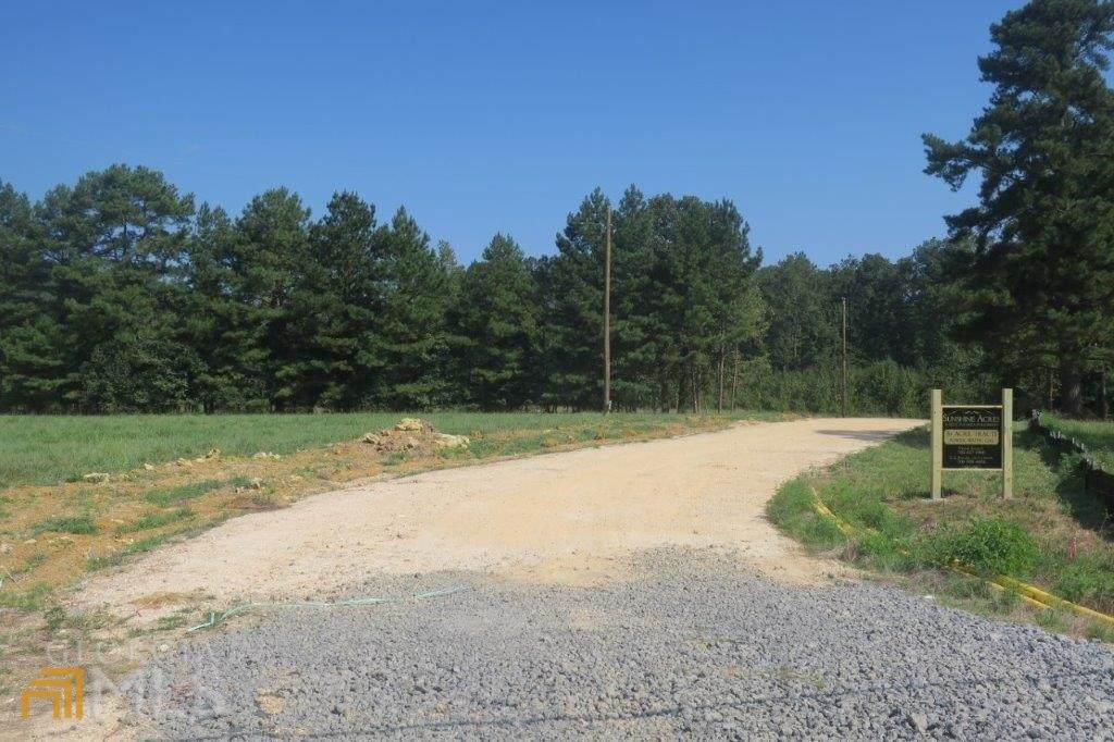 3220 Trion-Teloga Road - Photo 1