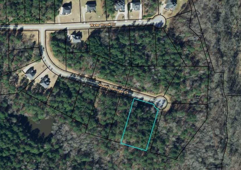90 Grassy Springs Court - Photo 1