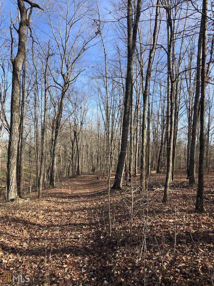 00 Seed Tick Road - Photo 1