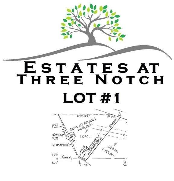 7125 Three Notch Road - Photo 1