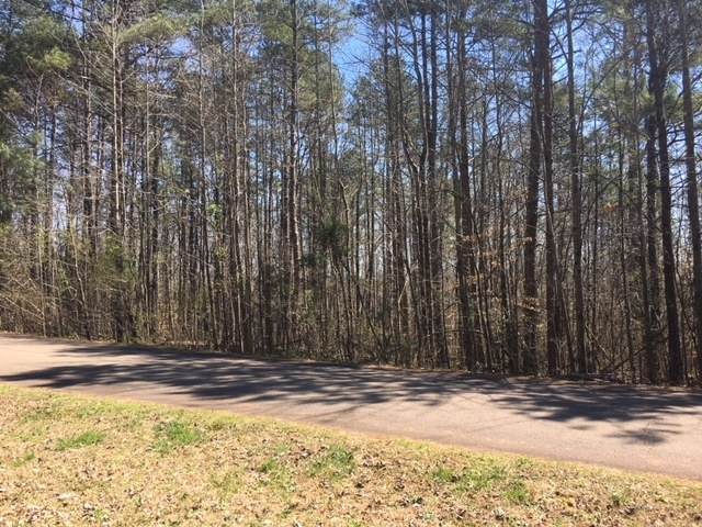 0 Hunters Glen - Photo 1