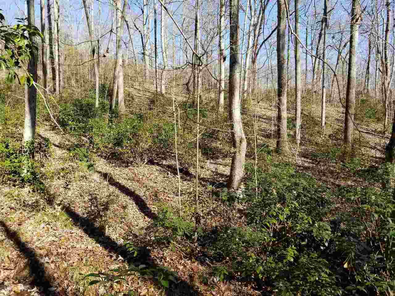 45 Hightop Mountain Estates - Photo 1