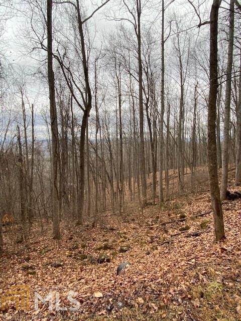 0 Rocky Knob Road - Photo 1