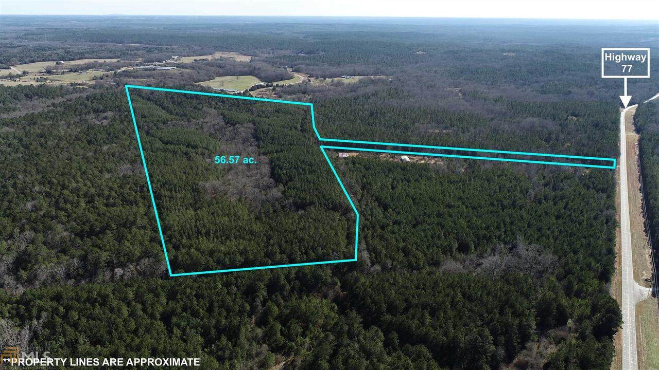 0 Lexington Highway - Photo 1
